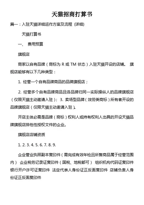 天猫招商打算书