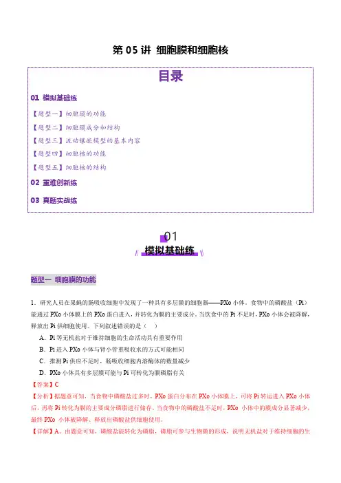 第05讲 细胞膜和细胞核(练习)(解析版)