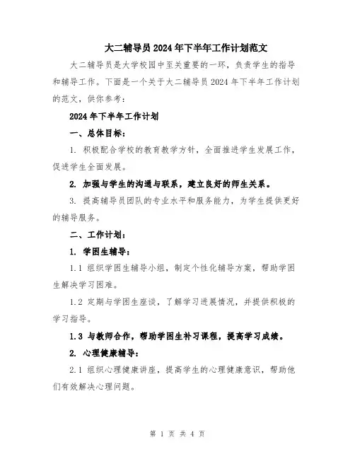 大二辅导员2024年下半年工作计划范文