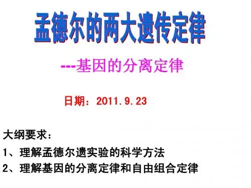 基因的分离定律