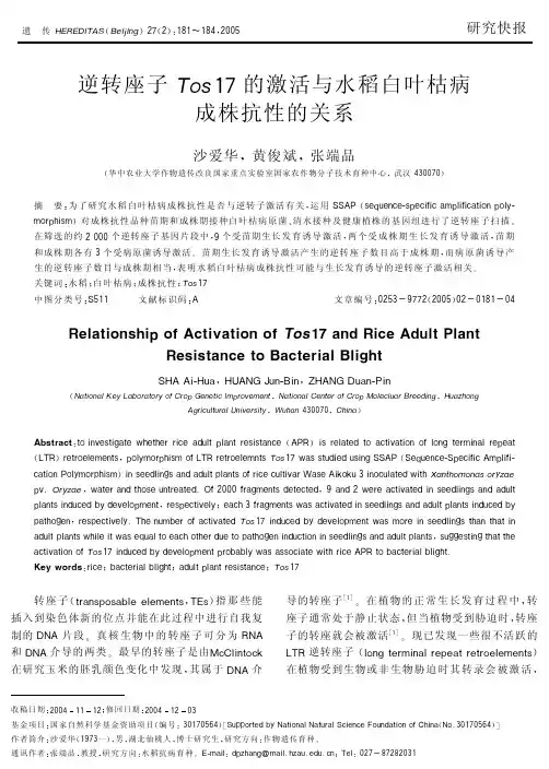 逆转座子Tos17的激活与水稻白叶枯病成株抗性的关系