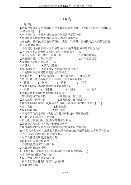 人教版八年级上册生物 5.1.6 鸟 同步练习题 有答案