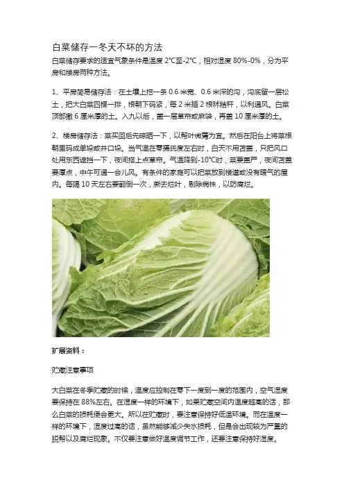 白菜储存一冬天不坏的方法
