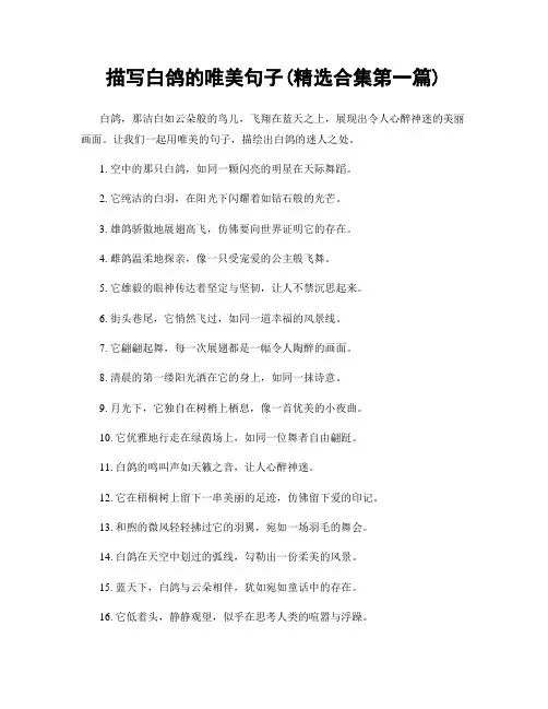 描写白鸽的唯美句子(精选合集两篇)