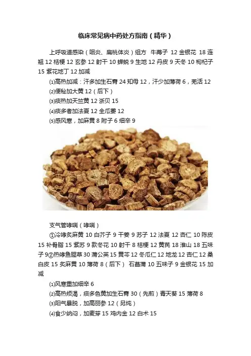 临床常见病中药处方指南（精华）