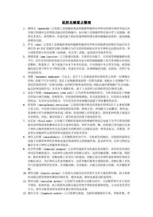 组胚名解重点整理
