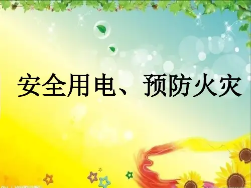 安全用电预防火灾PPT课件