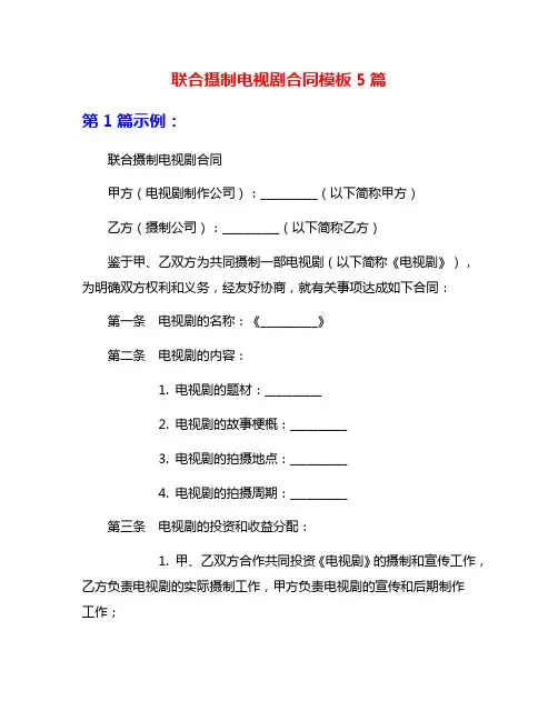 联合摄制电视剧合同模板5篇