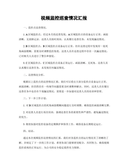 视频监控巡查情况汇报