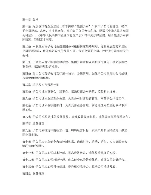 国企集团子公司管理制度完整版