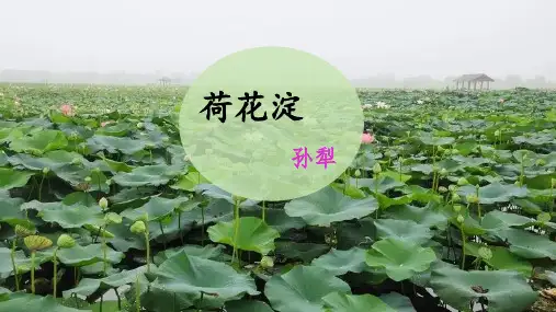 《荷花淀》ppt课件45张 