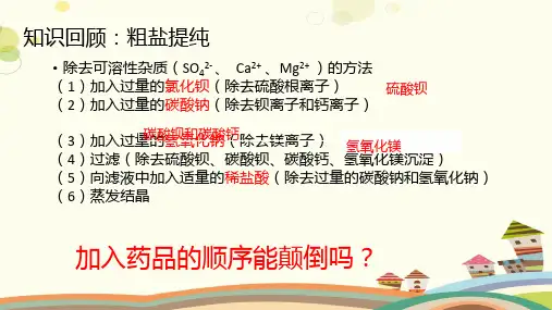 初中化学鲁教九年级下册第八单元 海水中的化学 物质的除杂与提纯PPT