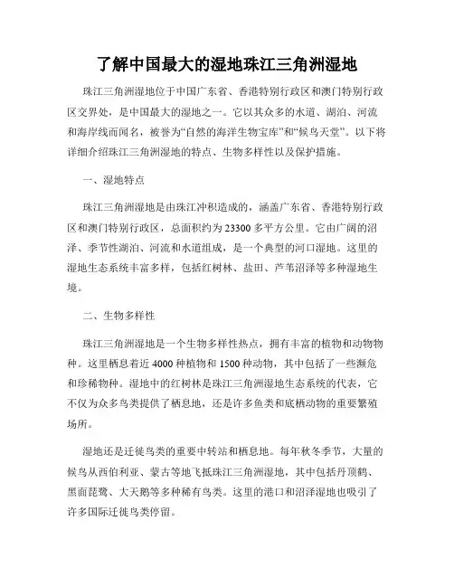 了解中国最大的湿地珠江三角洲湿地