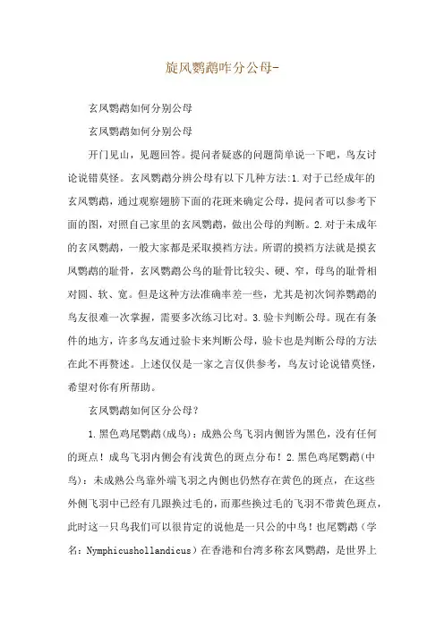 旋风鹦鹉咋分公母--玄凤鹦鹉如何分别公母