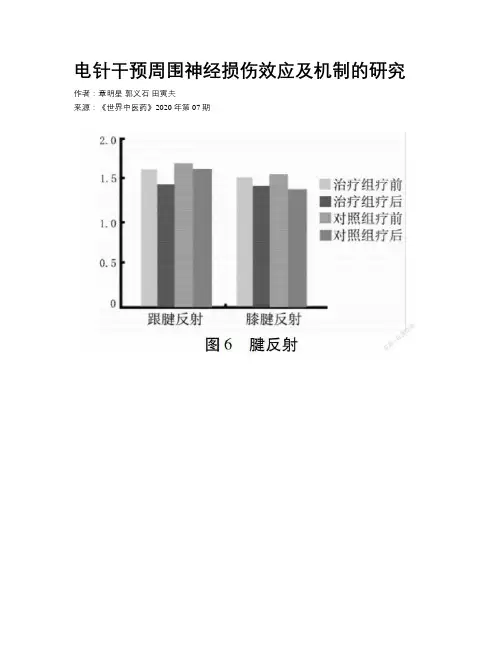 电针干预周围神经损伤效应及机制的研究