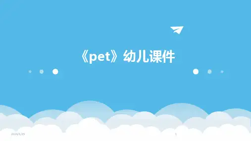 《pet》幼儿课件(2024)