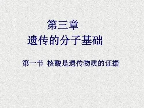 高一生物第三章《第一节核酸是遗传物质的证据》课件12(浙教版必修2)