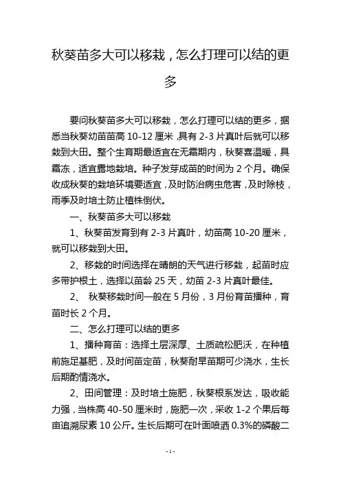 秋葵苗多大可以移栽,怎么打理可以结的更多