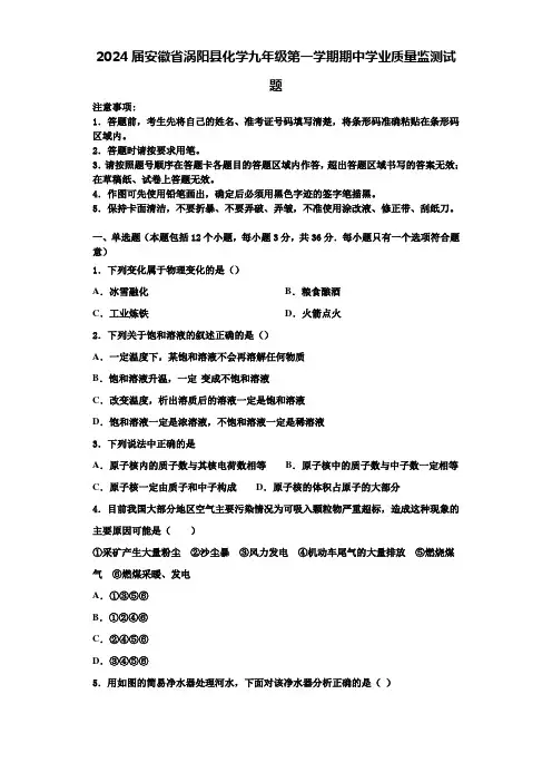 2024届安徽省涡阳县化学九年级第一学期期中学业质量监测试题含解析
