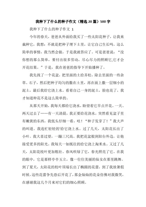 我种下了什么的种子作文(精选20篇)500字