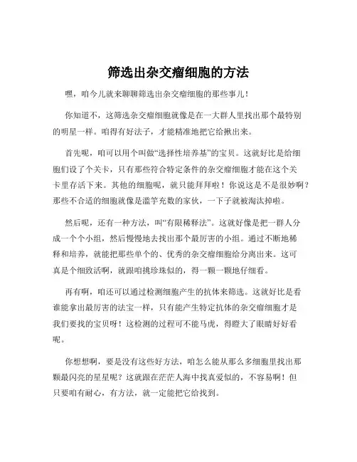 筛选出杂交瘤细胞的方法