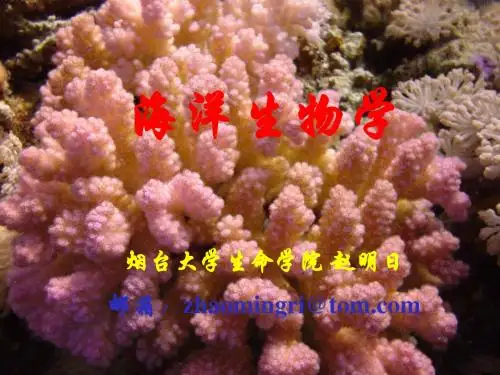 绪论