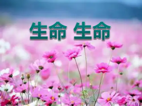 《生命生命》稀有-四年级下册语文PPT课件