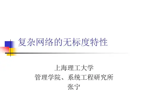复杂网络的无标度特性