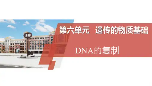 高三生物一轮复习课件DNA的复制