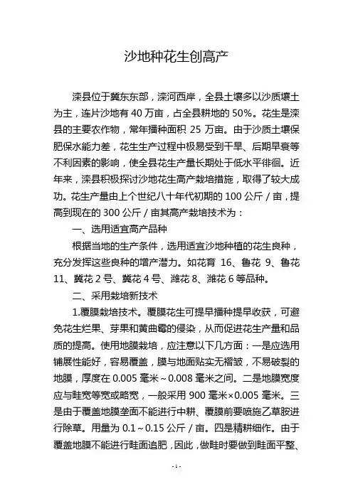 沙地种花生创高产