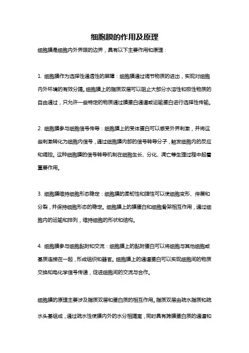 细胞膜的作用及原理