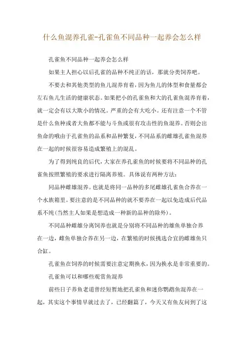 什么鱼混养孔雀-孔雀鱼不同品种一起养会怎么样