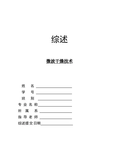 微波干燥技术文献综述