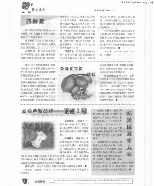 珍稀食用菌--雅菇