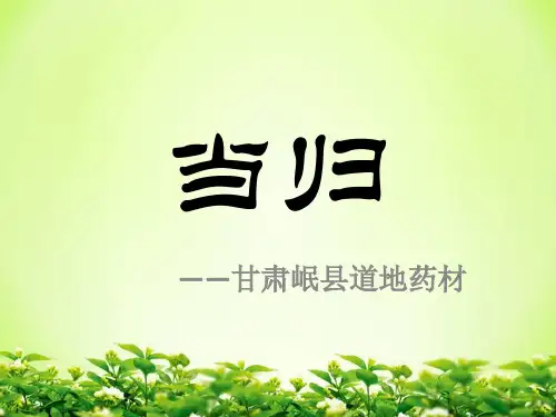 当归