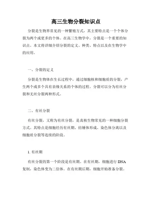 高三生物分裂知识点