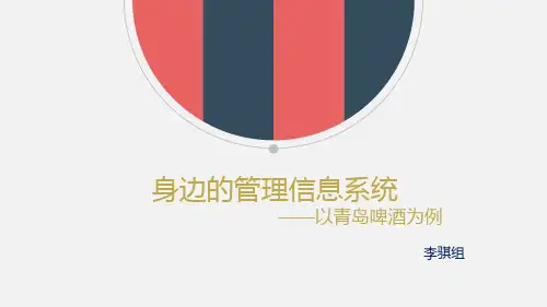 身边的管理信息系统——以青岛啤酒为例PPT课件