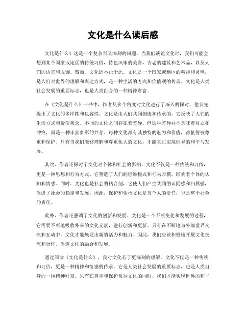 文化是什么读后感