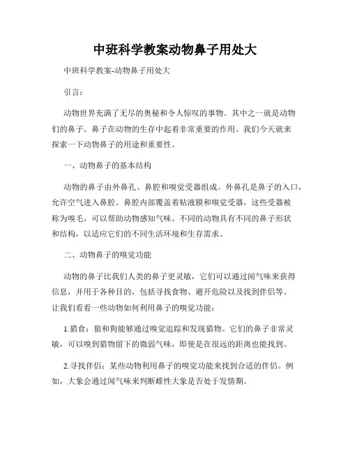 中班科学教案动物鼻子用处大