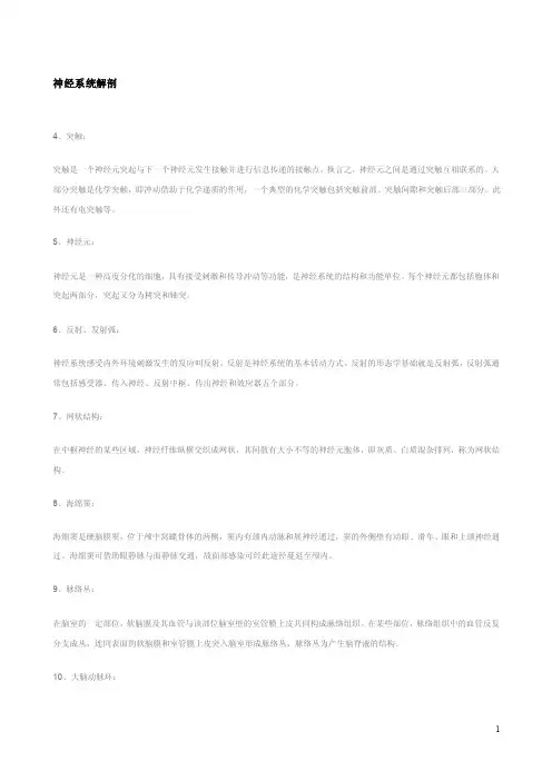 系统解剖学期末复习（温州医科大学）8.神经系统名词解释