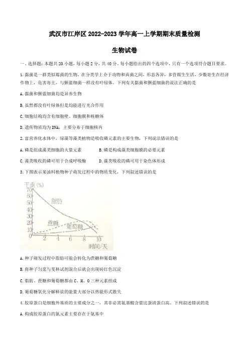 2022-2023学年湖北省武汉市江岸区高一上学期期末质量检测生物学试题(Word版含答案)