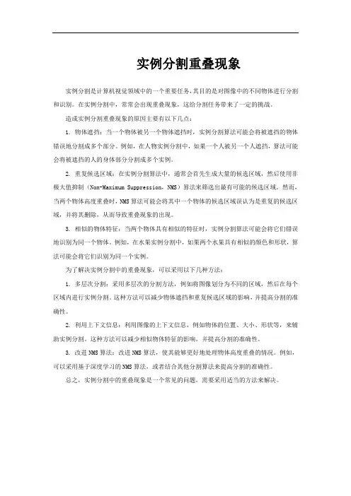 实例分割重叠现象