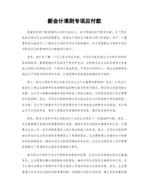 新会计准则专项应付款