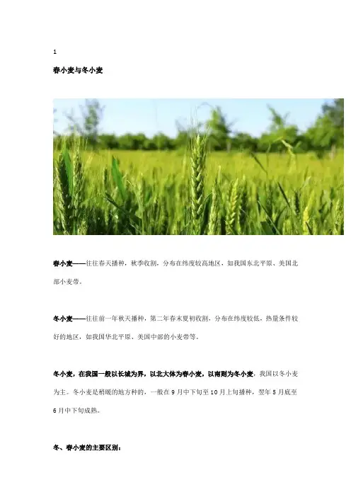 春小麦vs冬小麦、积温vs无霜期傻傻分不清楚