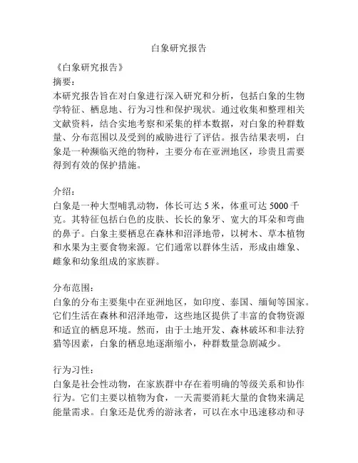 白象研究报告