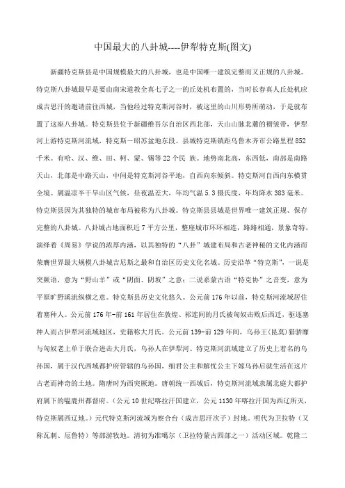 中国最大的八卦城伊犁特克斯图文