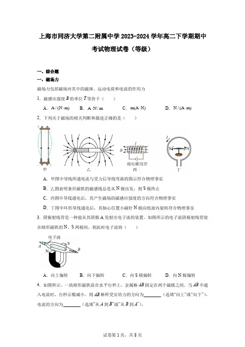 上海市同济大学第二附属中学2023-2024学年高二下学期期中考试物理试卷(等级)