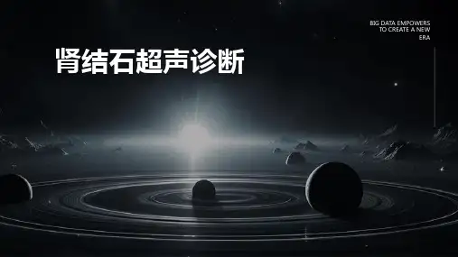 肾结石超声诊断