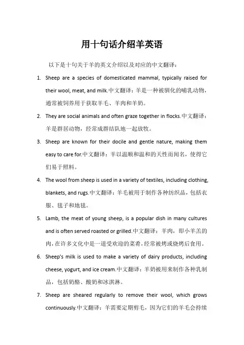 用十句话介绍羊英语