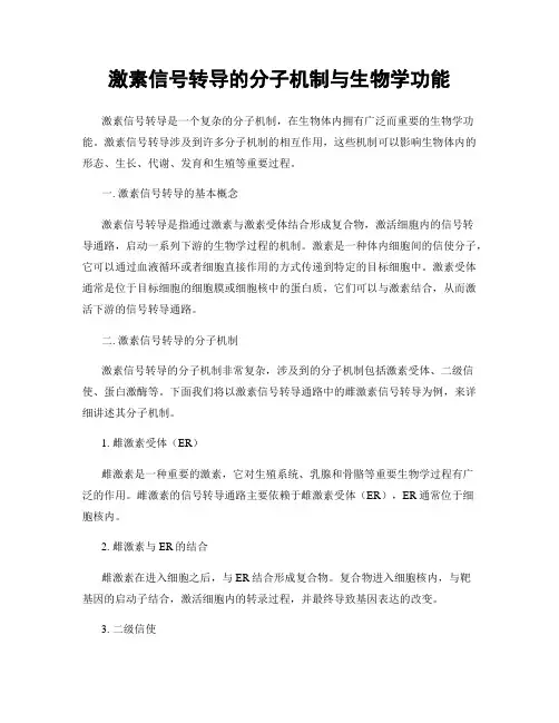 激素信号转导的分子机制与生物学功能